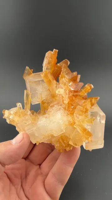 Gypsum with Halite