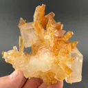 Gypsum with Halite - image 1