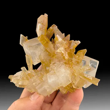 Gypsum with Halite