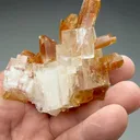 Gypsum with Halite - image 2