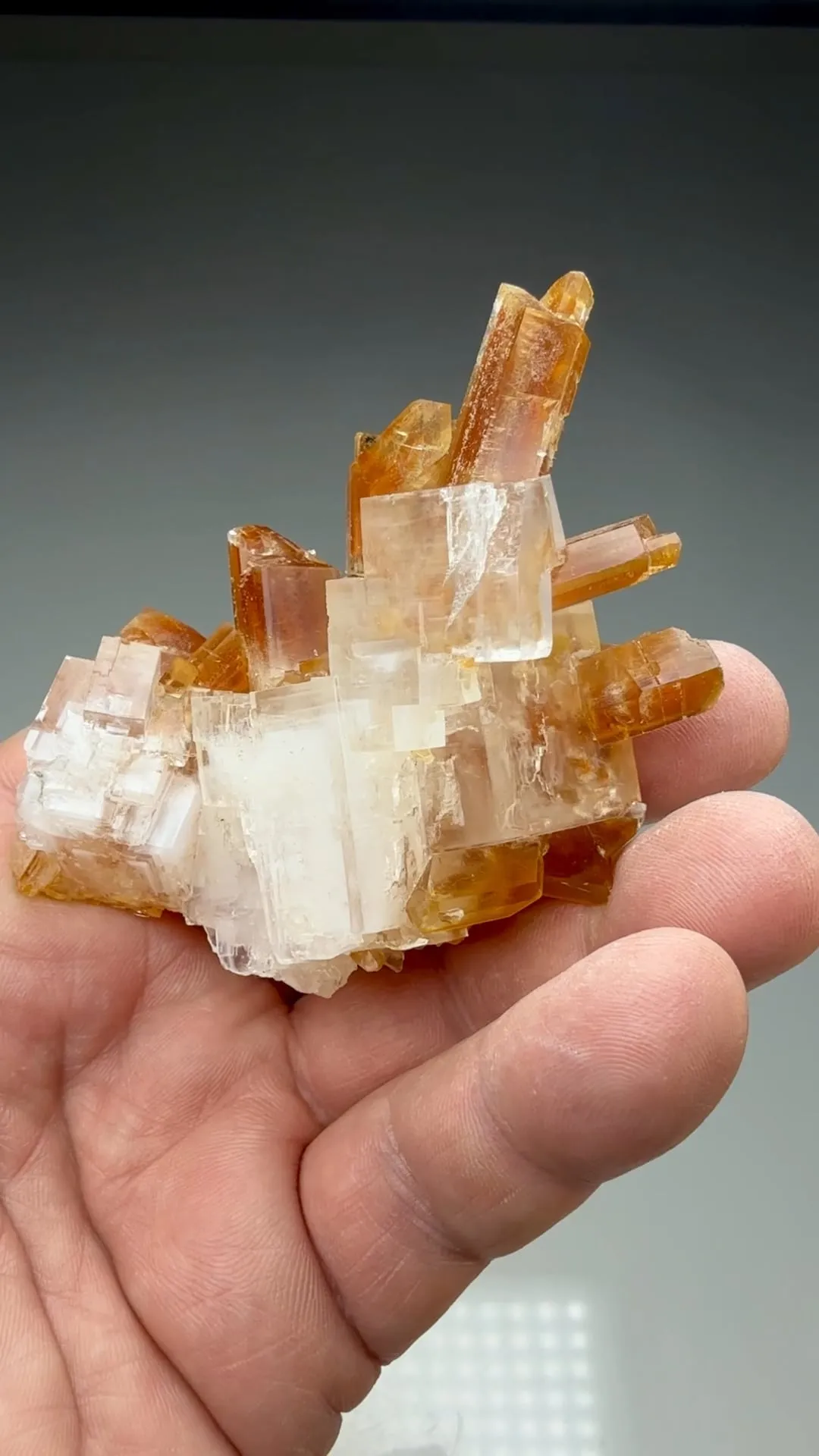 Gypsum with Halite - image 2