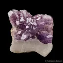 Hackmanite (Cover Specimen) - image 1