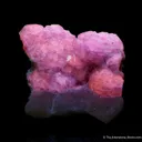 Hackmanite (Cover Specimen) - image 6