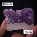 Hackmanite (Cover Specimen) - image 2