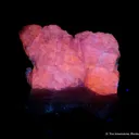 Hackmanite (Cover Specimen) - image 5