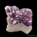 Hackmanite (Cover Specimen) - image 4