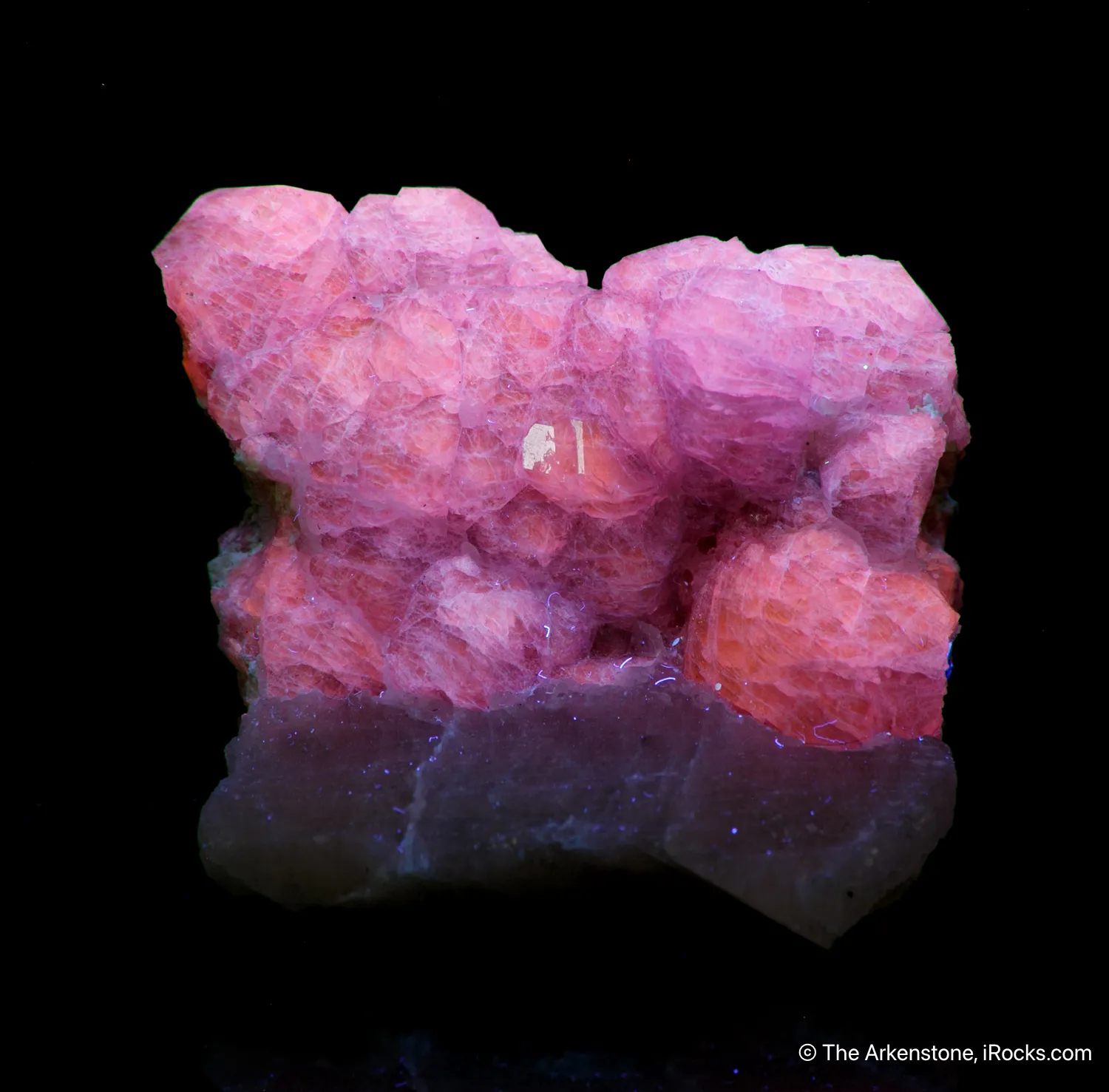 Hackmanite (Cover Specimen) - image 6