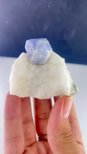 specimen video