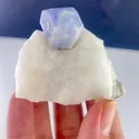 specimen video