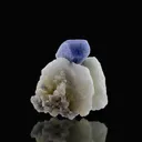 Hackmanite on Calcite from Afghanistan, Badakhshan, Kokcha Valley - image 1