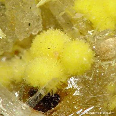 Haiweeite on Selenite - image 3