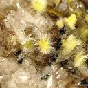 Haiweeite on Selenite - image 2