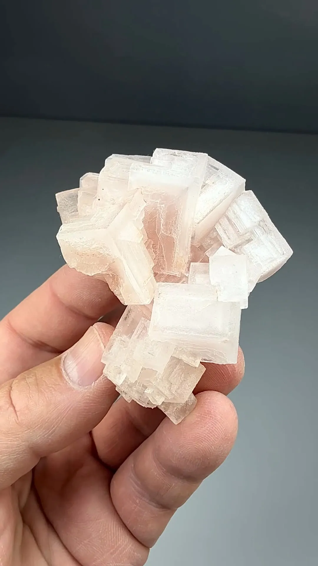 Halite (1001) - image 2