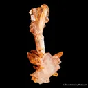Halite and Gypsum - image 3