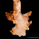 Halite and Gypsum - image 5