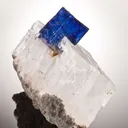 Halite and Sylvite - image 4