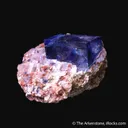 Halite and Sylvite - image 5