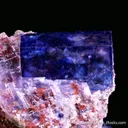 Halite and Sylvite - image 3