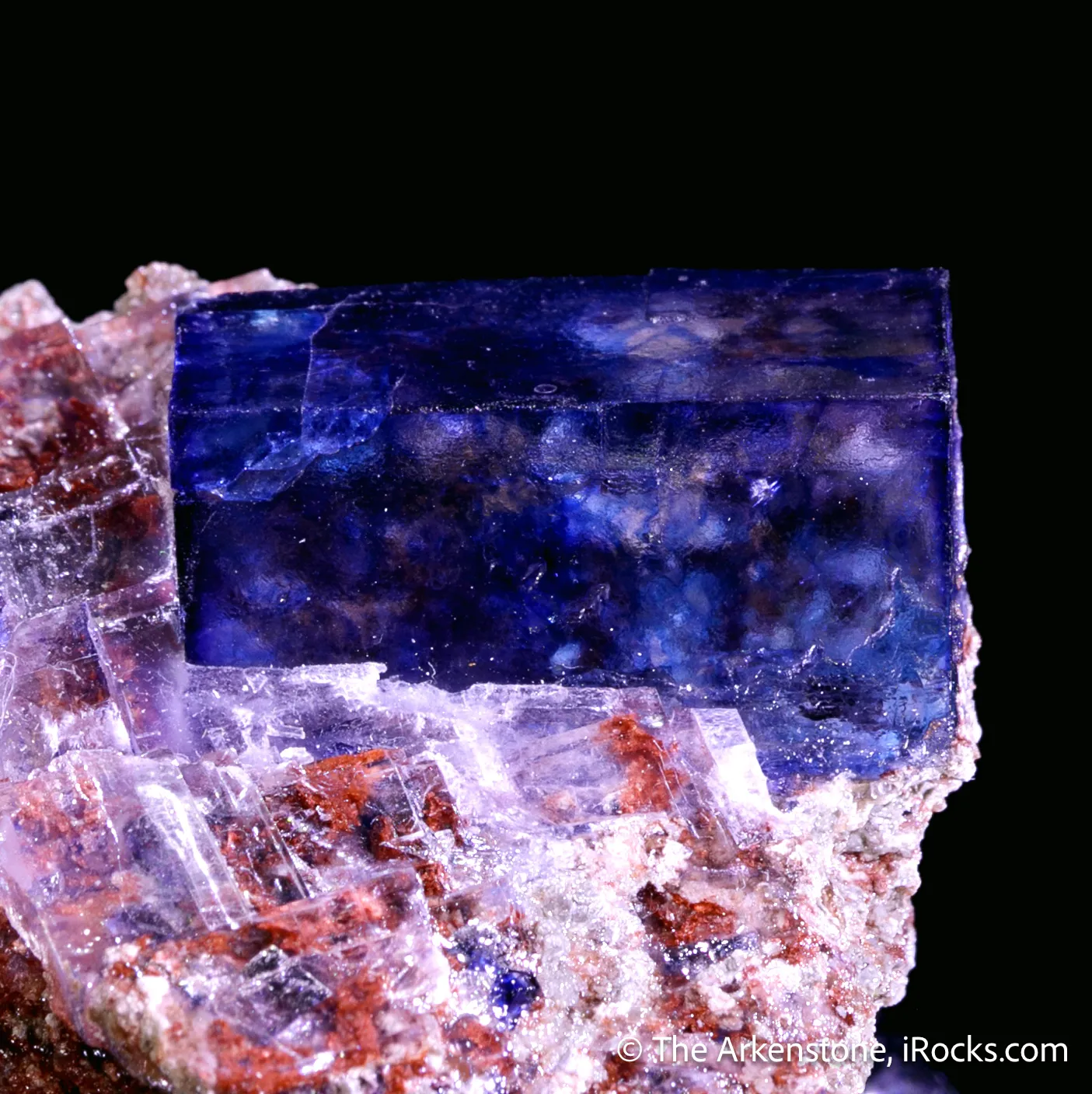 Halite and Sylvite - image 3