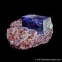 Halite and Sylvite - image 4