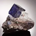 Halite and Sylvite - image 2