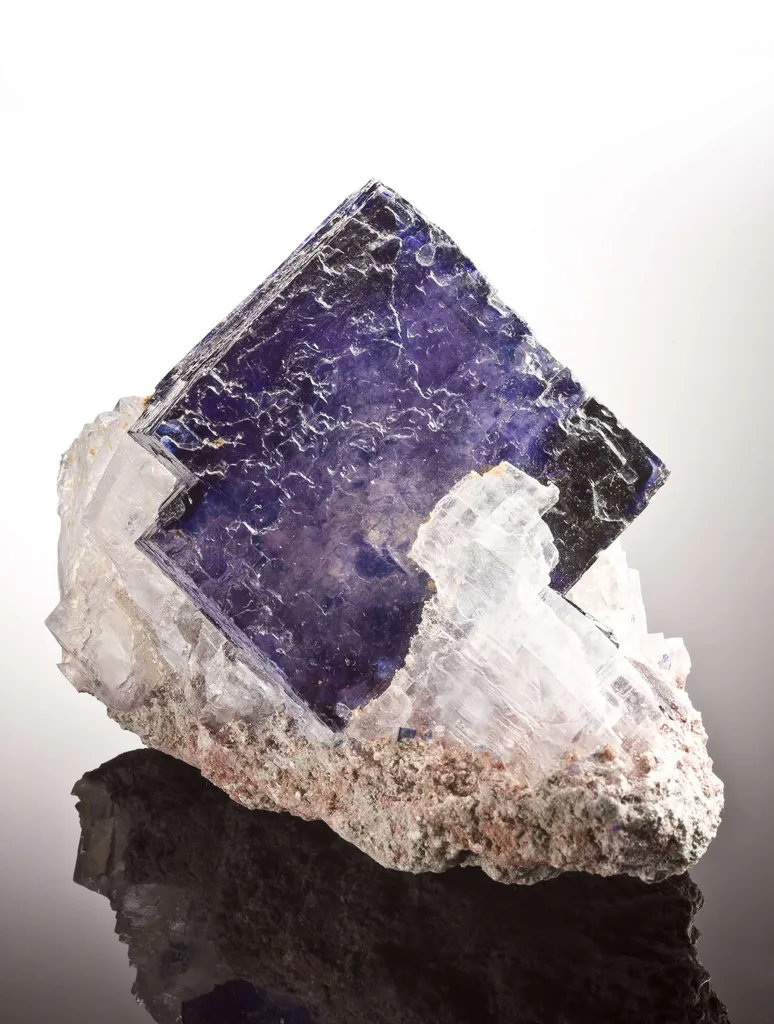 Halite and Sylvite - image 3