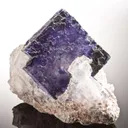 Halite and Sylvite - image 3