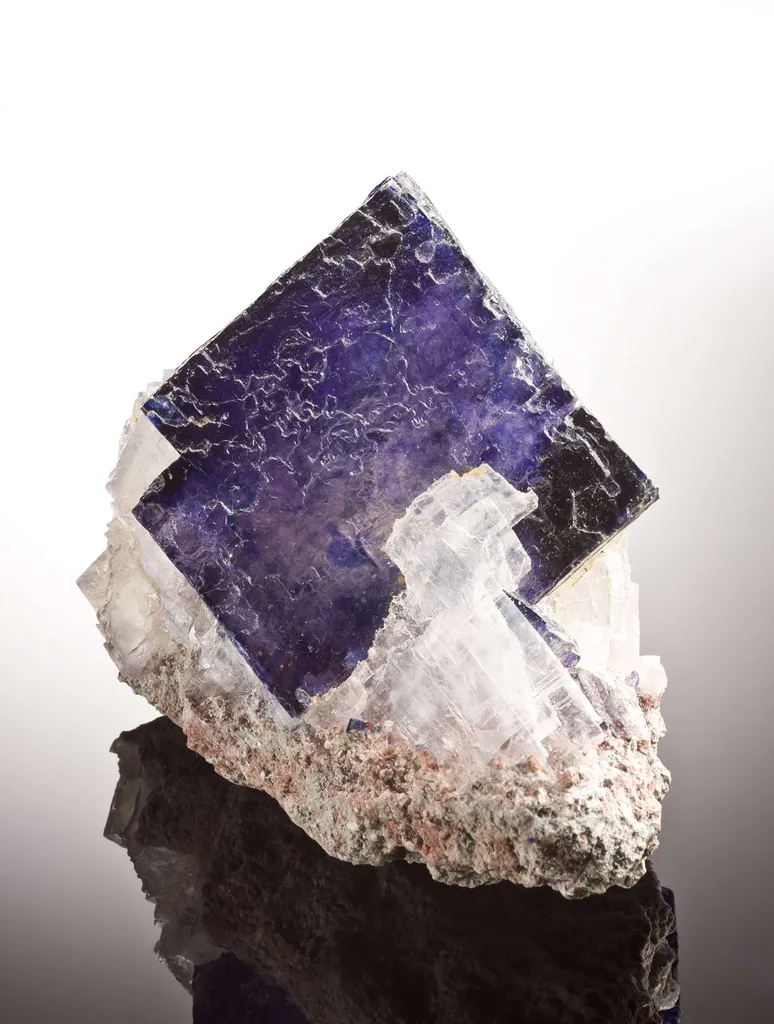 Halite and Sylvite - image 2