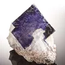 Halite and Sylvite - image 2