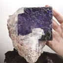 Halite and Sylvite - image 1