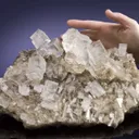 Halite and Sylvite Plate - image 1