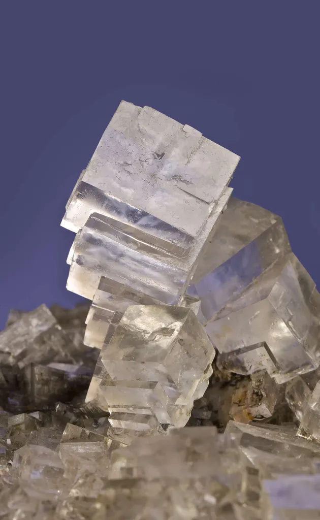 Halite and Sylvite Plate - image 2