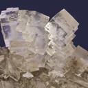 Halite and Sylvite Plate - image 3