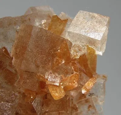 Halite, Gypsum (Var: Selenite) - image 2