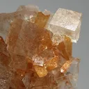 Halite, Gypsum (Var: Selenite) - image 2