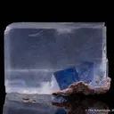 Halite included in Sylvite - image 2