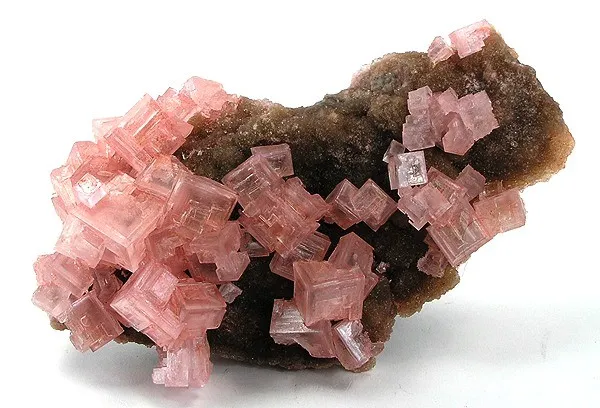 Halite, Nahcolite image
