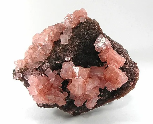 Halite, Nahcolite image
