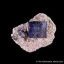 Halite on Sylvite - image 8