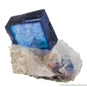 Halite on Sylvite - image 5