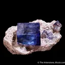 Halite on Sylvite - image 7