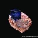 Halite on Sylvite - image 7