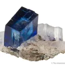 Halite on Sylvite - image 6