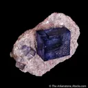 Halite on Sylvite - image 5
