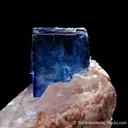 Halite on Sylvite - image 4