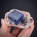 Halite on Sylvite - image 1