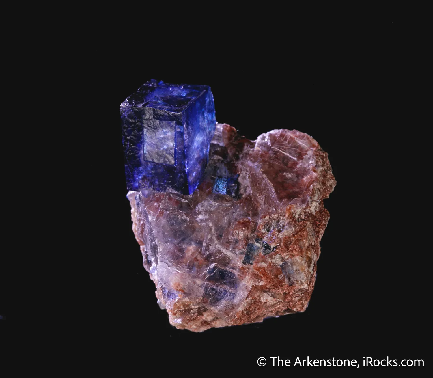 Halite on Sylvite - image 6