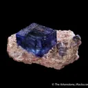 Halite on Sylvite - image 3