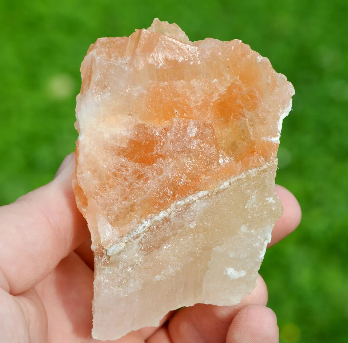 Halite & Sylvinite 324 grams - Wittelsheim, Mulhouse, Haut-Rhin, Alsace, France - image 4