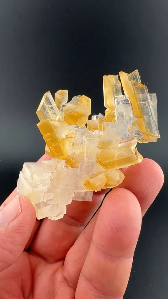 Halite with Gypsum image